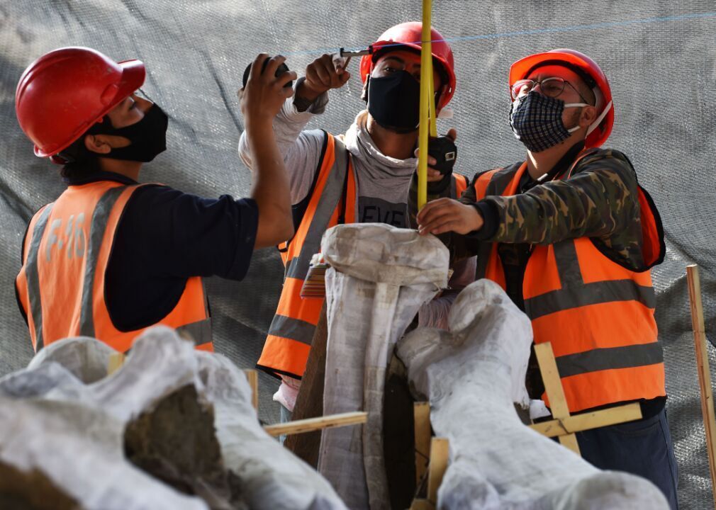 Mammoth discovery in Mexico